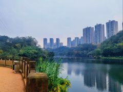-重庆彩云湖湿地公园