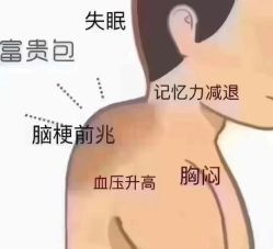 -YESIDO椰岛美容