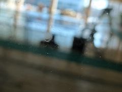 -健龙森俱乐部·游泳·健身·羽毛球综合体育馆