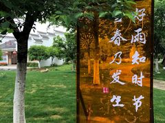 -金卉庄园
