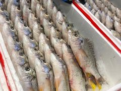 -海峡水产品交易中心(海鲜交易区)