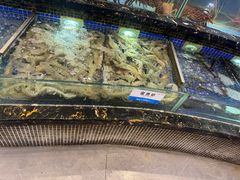 -欢乐海岸美食联盟