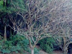 android_upload_pic-南沙天后宫景区