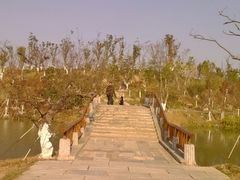 android_upload_pic-瑶湖郊野森林公园