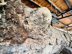 -海南槟榔谷黎苗文化旅游区