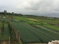 -翠田Green Field Kitchen