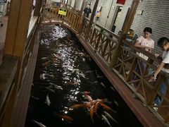-侠成水上农庄(工业大道店)