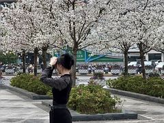 -中兴路(地铁站)