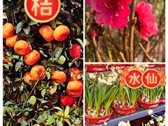 -天河体育中心