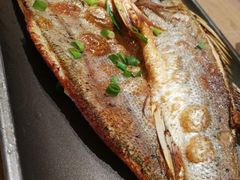 香酥海鲈鱼-渔家灯火(明湖店)