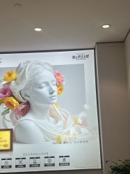 -禾丽康美医疗美容医院