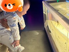 -欢乐海岸海洋奇梦馆