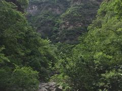 -龙洞风景区-藏龙涧