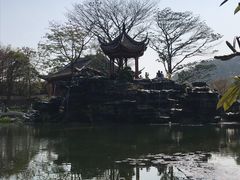 -顺峰山公园