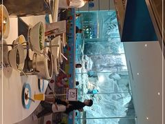 -帝企鹅自助餐厅•儿童岛•真企鹅(长隆企鹅酒店)