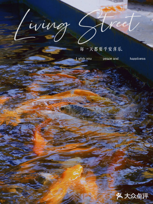 松山湖南湖湾露营营地图片