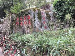 -青芝山风景名胜区