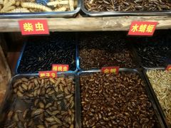 -昆虫窝子·特色云南菜(拓东路总店)