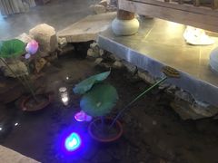 -花溪雨·森林餐厅(石基店)