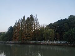 -范蠡湖公园
