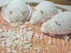 -点都德·毕德寮