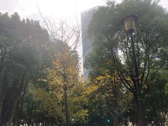 -重庆市江北嘴中央商务区中央公园