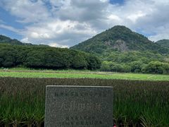 -八卦田遗址公园