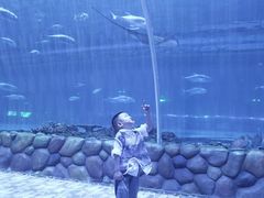 -华夏文旅海洋公园