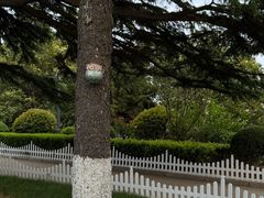 -青岛德国总督楼旧址博物馆