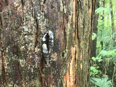 -桤木河湿地公园