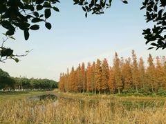 -艾溪湖湿地公园