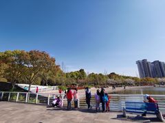 -新江湾城公园