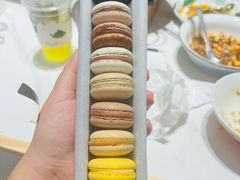 -BLACKSWAN黑天鹅(环球店)