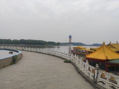 -溱湖国家湿地公园