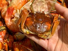 -七的湖·晚芳亭·阳澄湖农家菜·大闸蟹(莲花岛店)