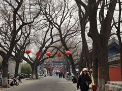 -北京国子监胡同