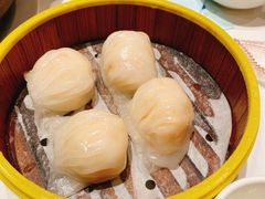 唐宫虾饺皇-唐宫海鲜舫