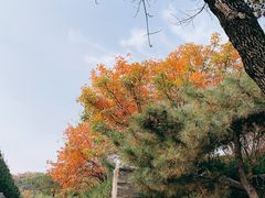 -潭柘寺景区
