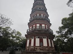 -顺峰山公园