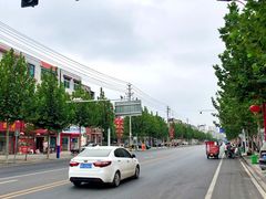 -洪湖生态旅游区