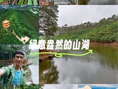 -大屏嶂森林公园