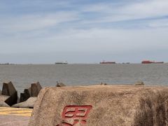 -上海滨江森林公园