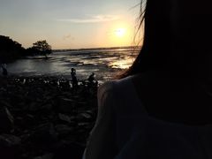 -宝安西湾红树林湿地公园