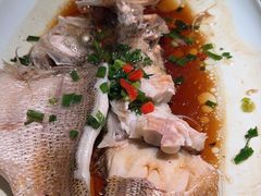 -新白鹿餐厅(嘉兴八佰伴华府店)