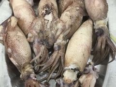 -蚝专家(北滘店)