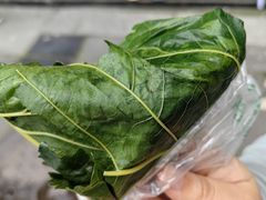 -叶婆婆豆浆馍馍