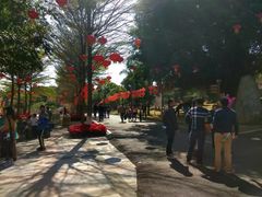 -广东茂名森林公园