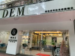 -DEM缔怡美科技美容