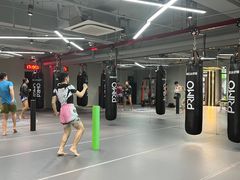 -花环泰拳·勒德斯拉泰拳馆(静安店)