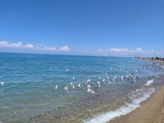 -青海湖国家重点风景名胜区